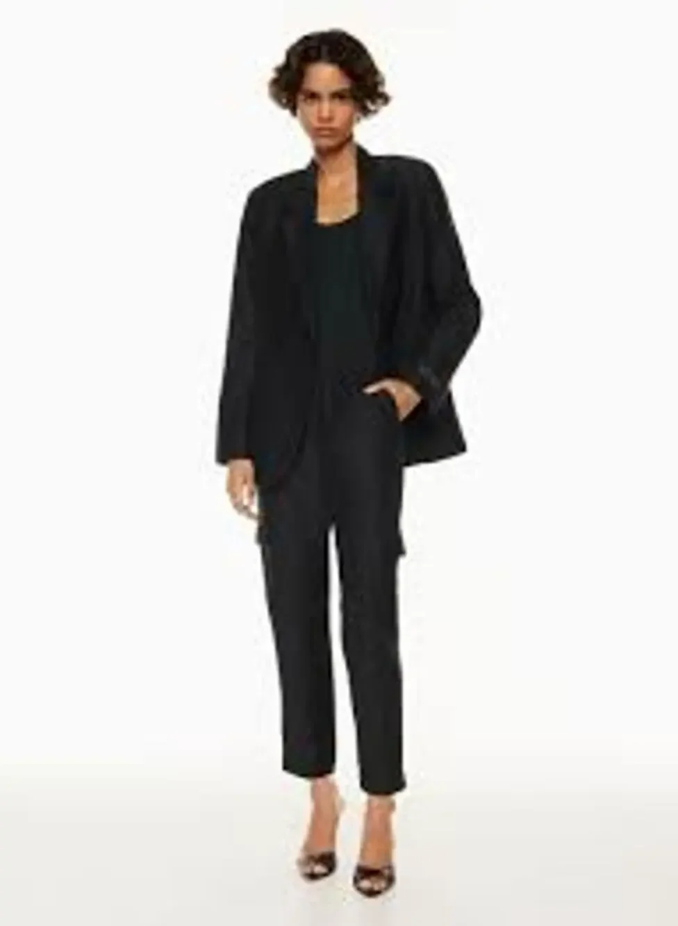 NWT Babaton Titan Cargo Pants Women Elevated Basics Black Straight Leg Women 6